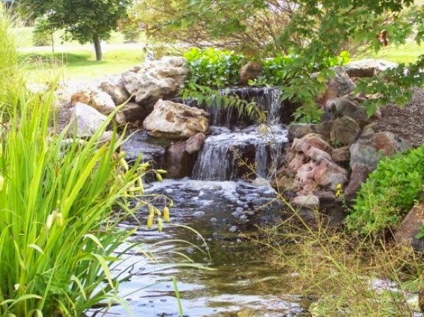 A relaxing garden and backyard waterfalls