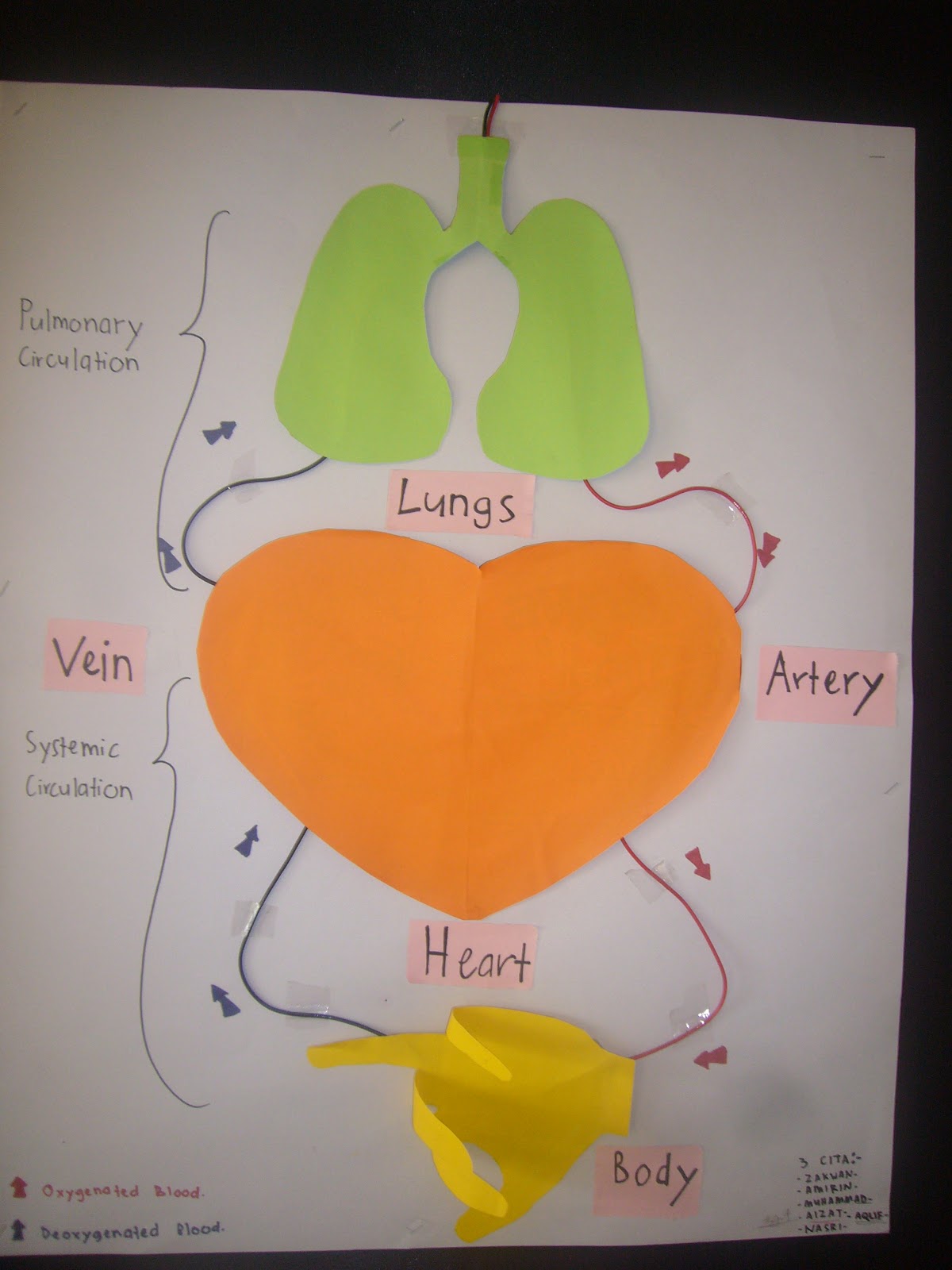 SCIENCE KSSM PT3 SPM: SCIENCE FORM 3