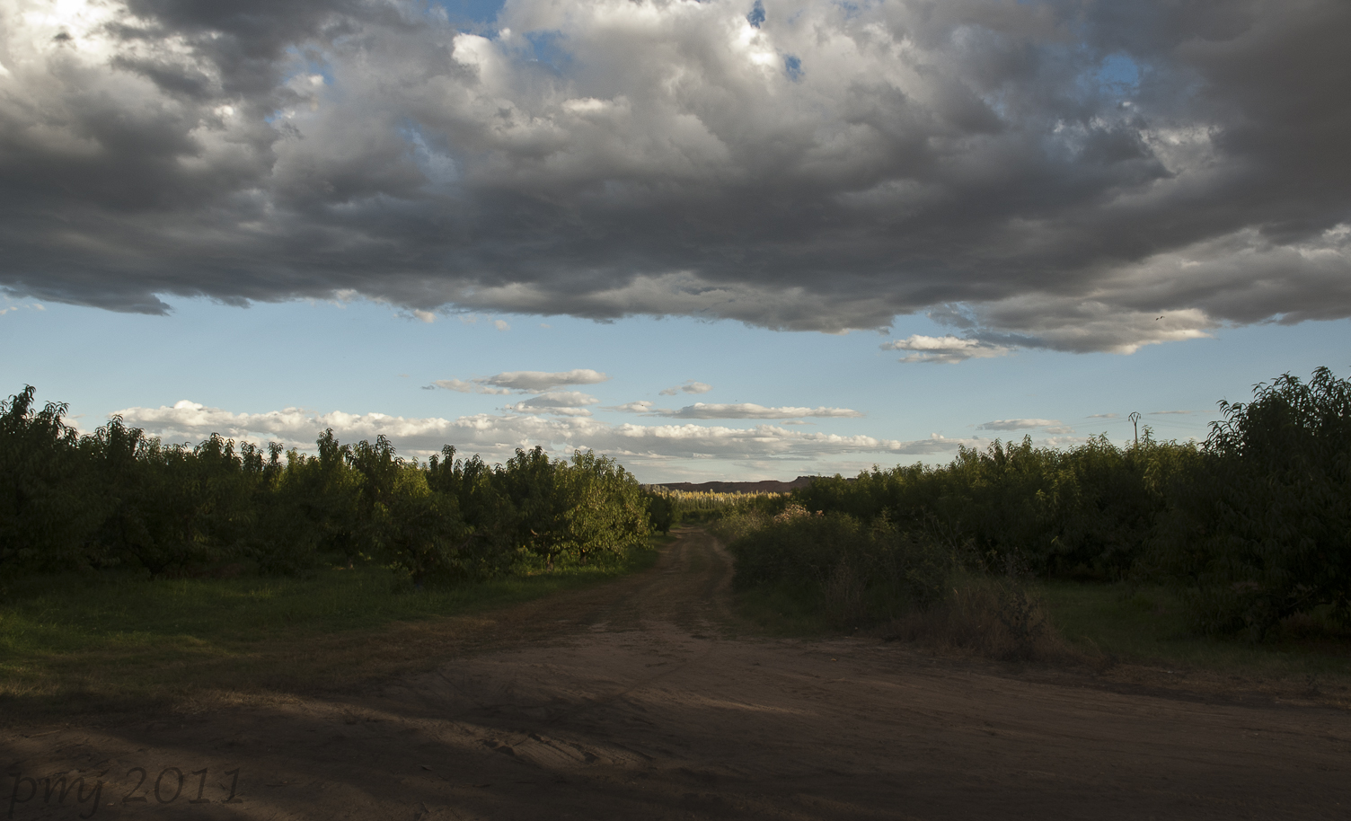 a intervalos Un paseo por los campos de mi pueblo