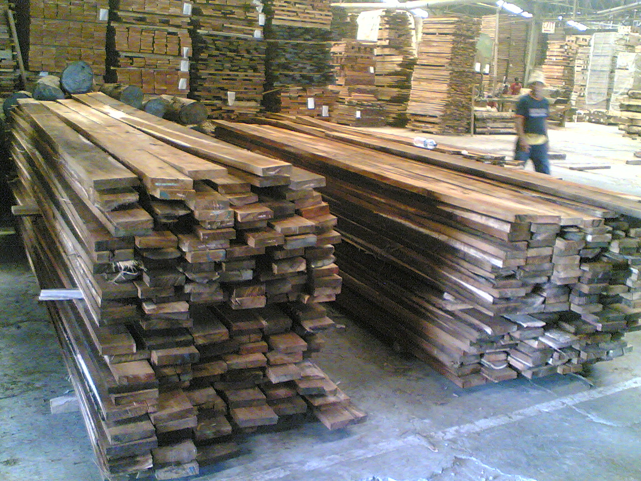 jual kayu akasia  semarang