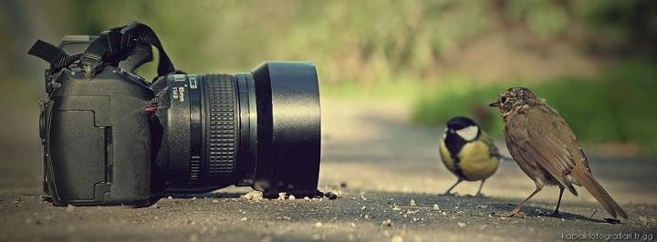 facebook kapak fotograflari