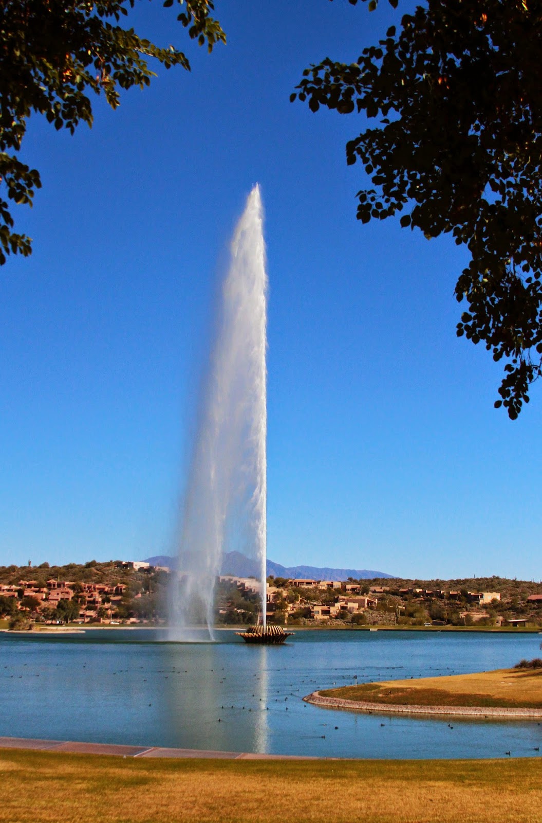 Rob & Yvonne's Az Living Road trip Fountain Hills, Arizona