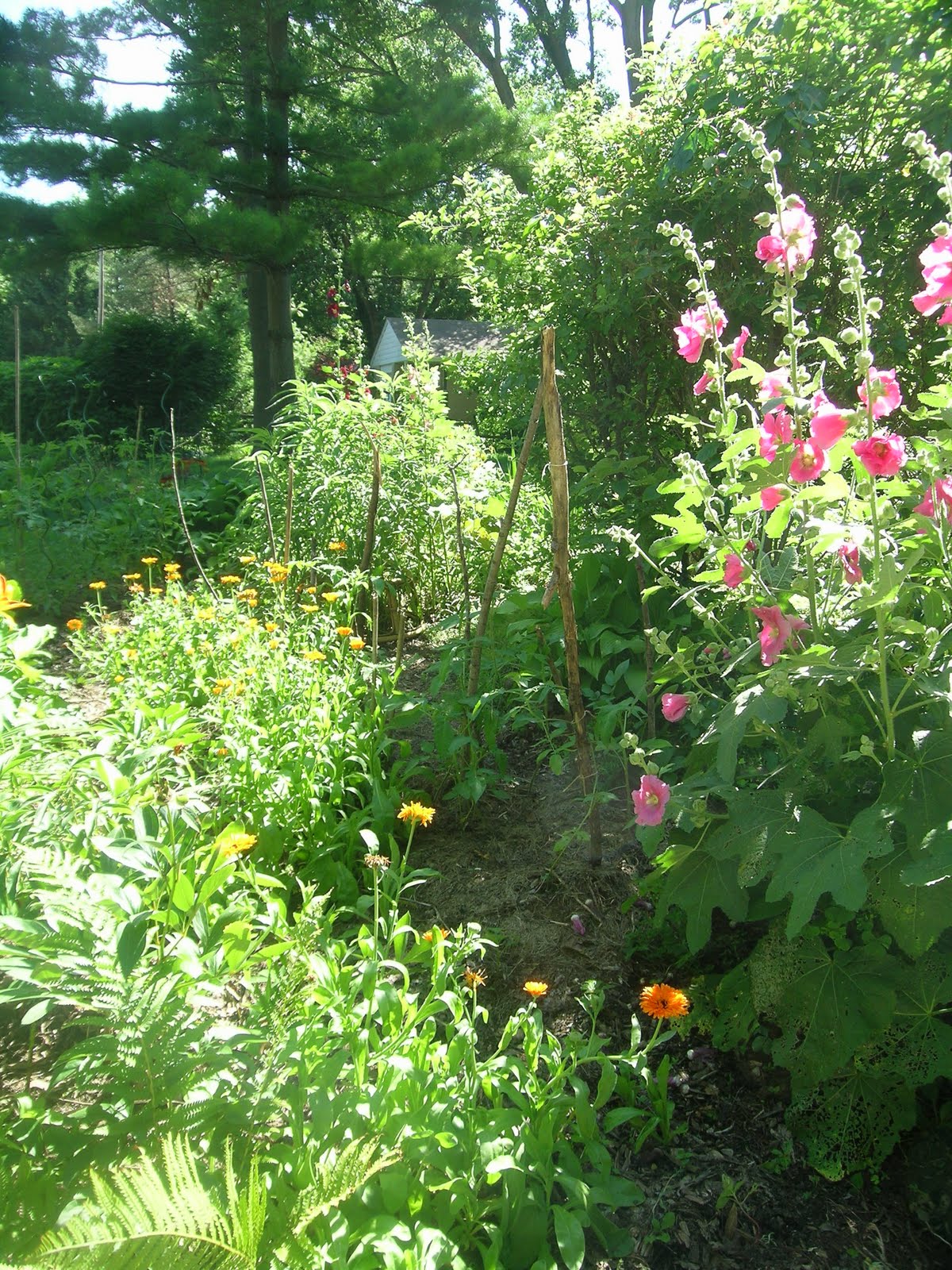 Finding Our Family Footprint: Front Yard Edible Garden
