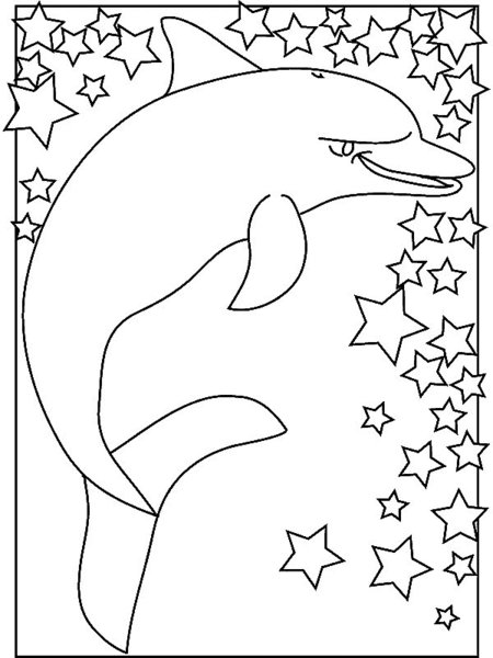 baby dolphin coloring pages - photo #33