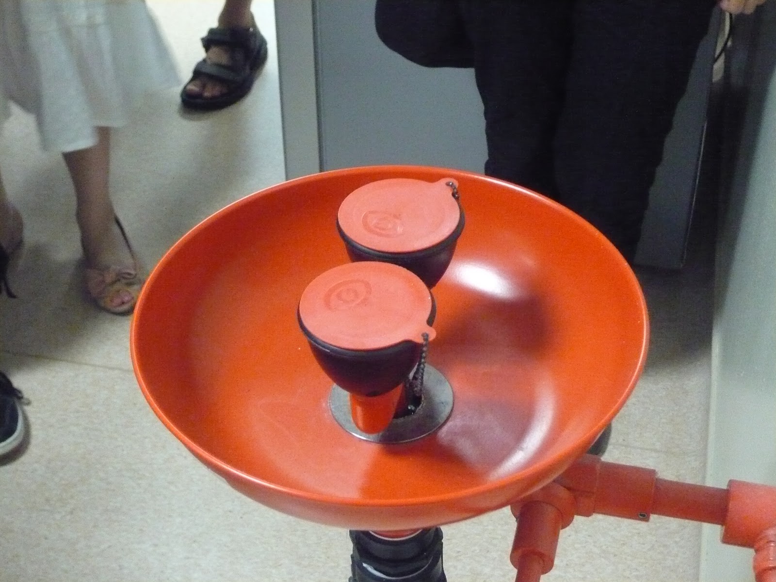 Singapore Local Tour: Educational Tour - NTU Bio-Science Lab