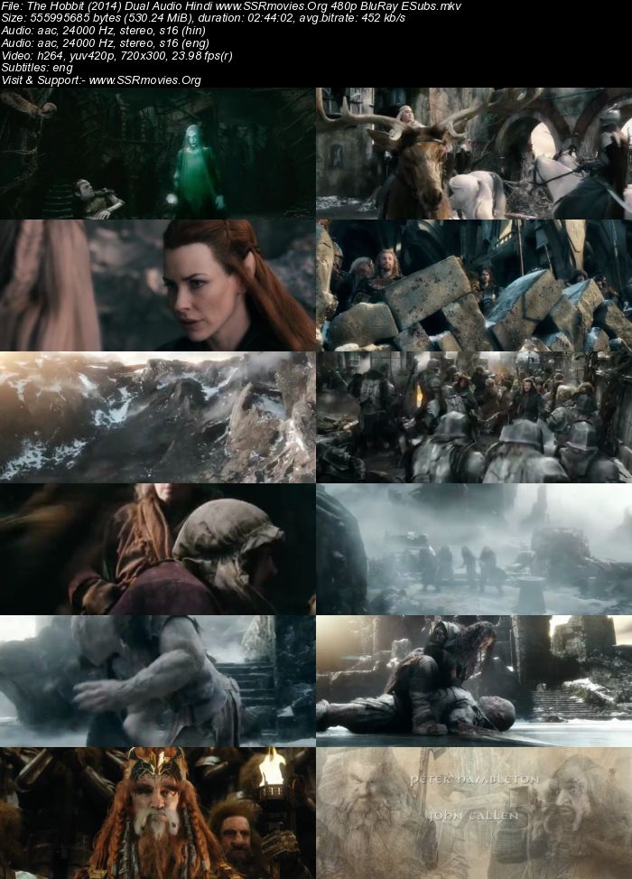 The Hobbit (2014) Dual Audio Hindi 480p BluRay 500MB