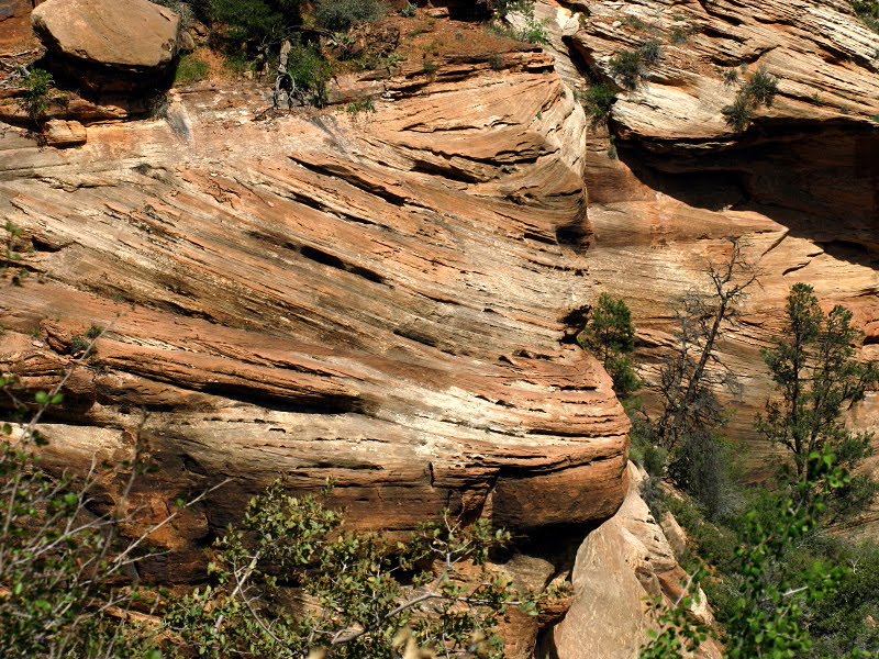Looking For Detachment More Cross Bedding