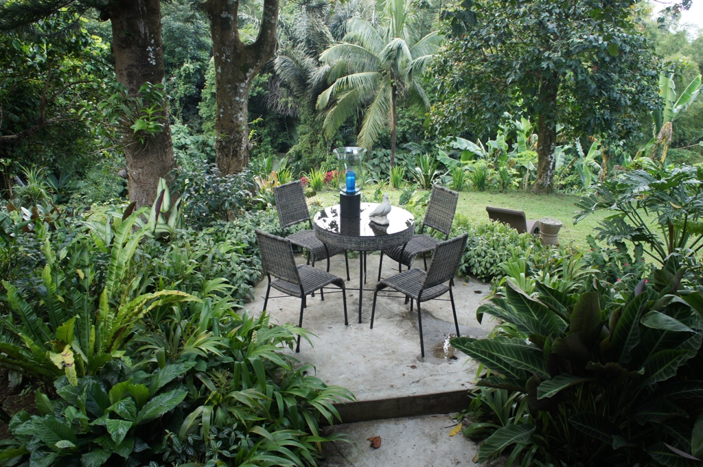 OUR PHILIPPINE TREES The Naturally Native View