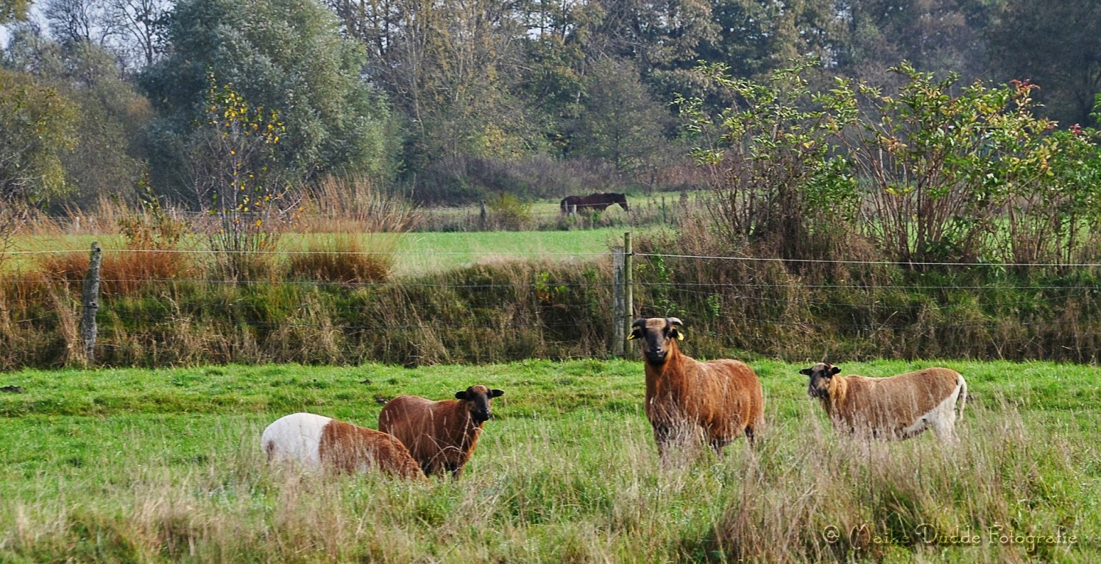 These Are Hilarius Times 2016