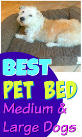 Best Pet Beds for Medium and Large Dogs