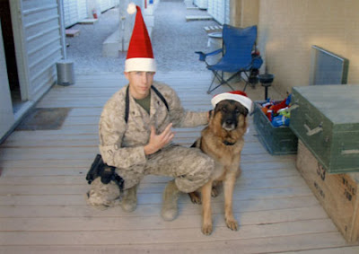 Lex the Military Dog