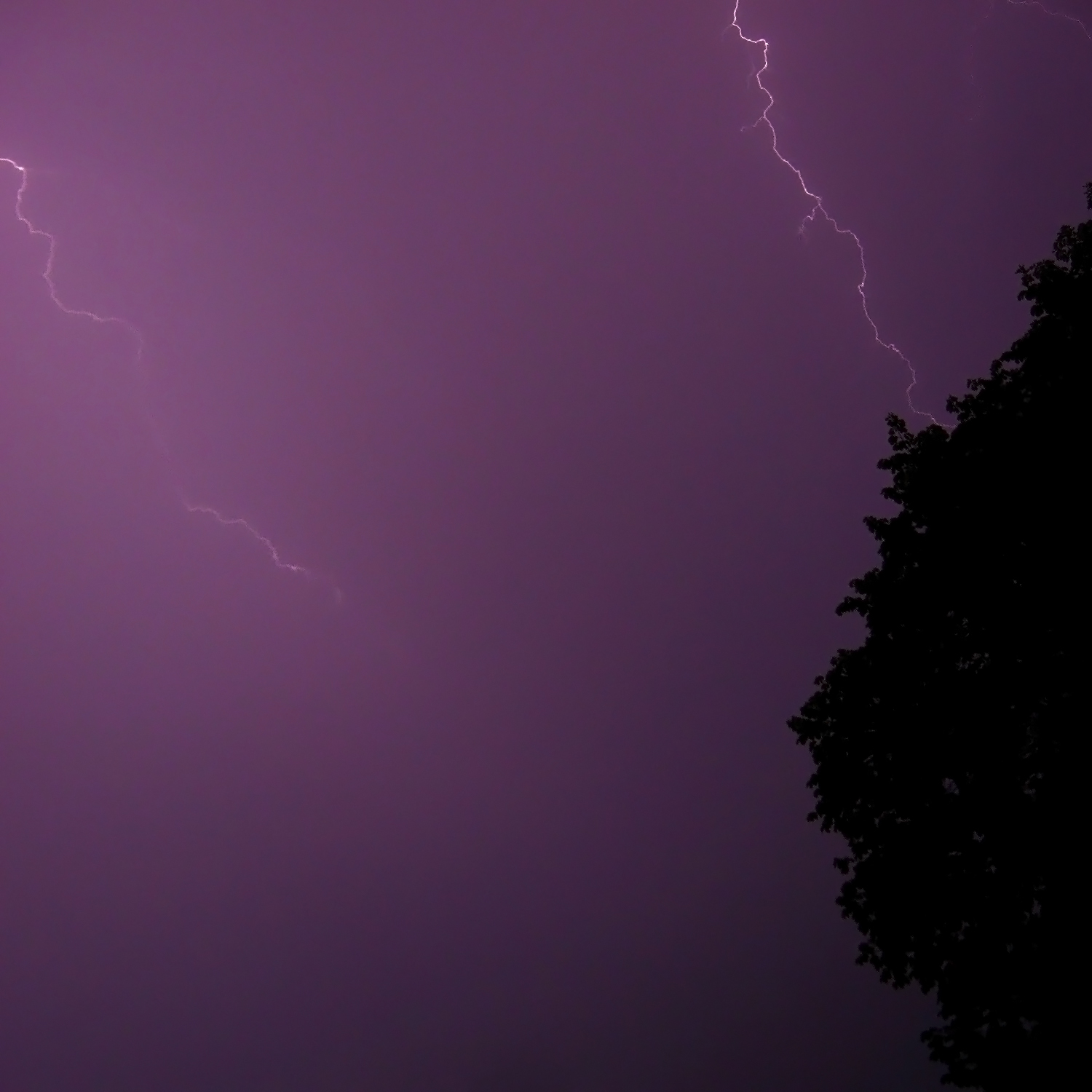 Photopathica Thunder and Lightning