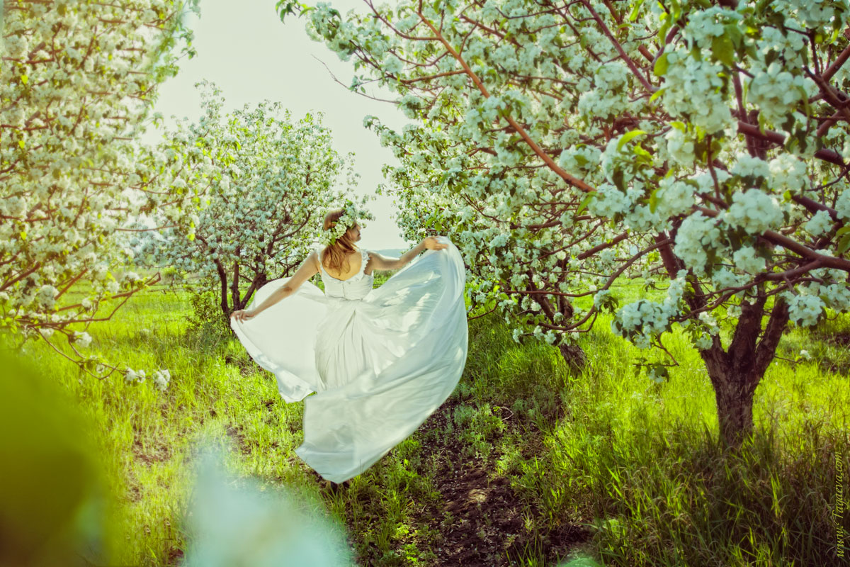 В саду гуляет ветер. Девушка в цветущем саду. Девушка в цветущем саду спиной. Фотосессия в яблонях. Танцующая девушка в яблоневом саду.