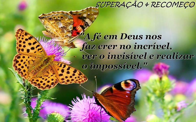 Resultado de imagem para Ajuda de Deus Fotos
