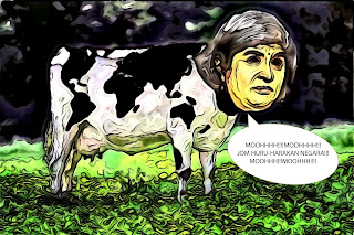 BATU DAN TELUR JADI 'SANTAPAN' AMBIGA!!! ~ SEMUT HITAM