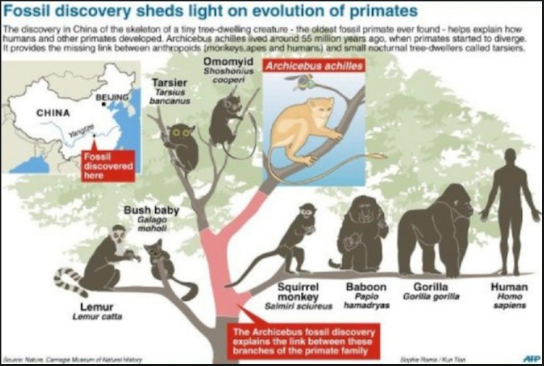 Extinct Animal of the Week: December 2014