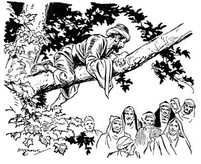 Zacchaeus the Tax Collector | Color The Bible