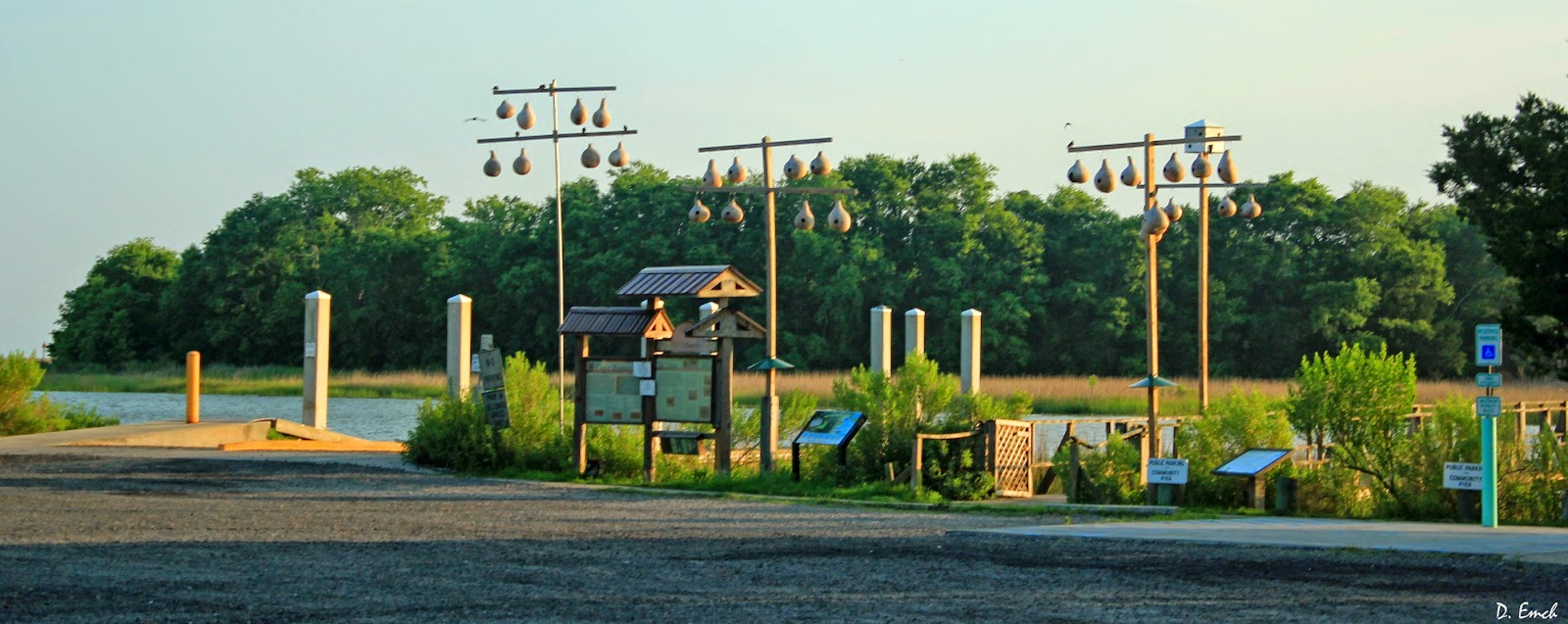 Capture America Journal McClellanville SC 6/12/14