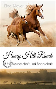 Honey Hill Ranch 03: Freundschaft und Feindschaft