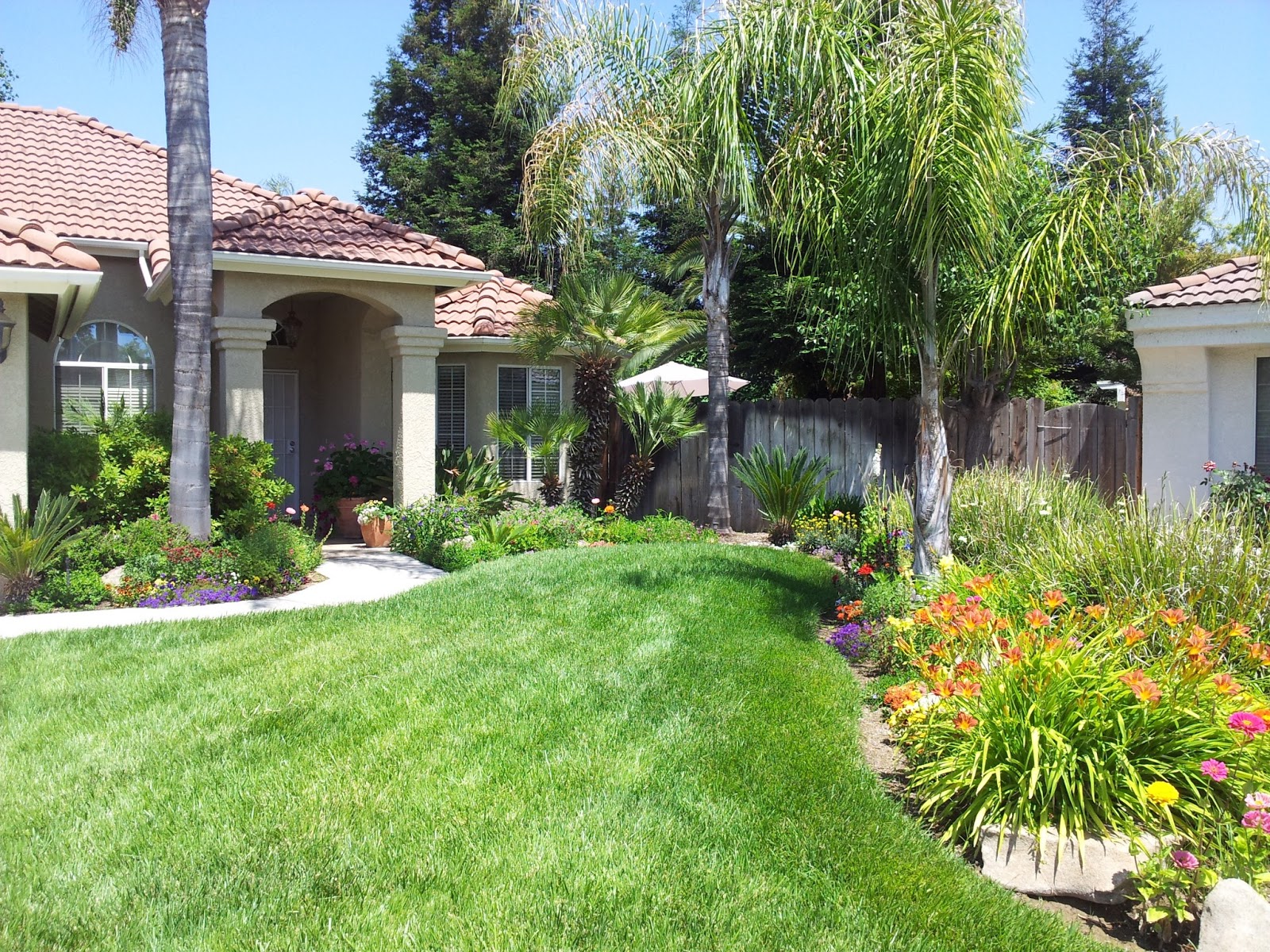 Lawn and Landscape Tips from the Turf Doctor New Year’s Resolution