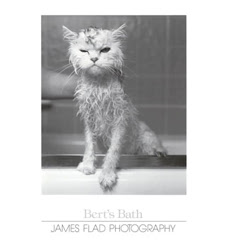 Bert's Bath by James Flad