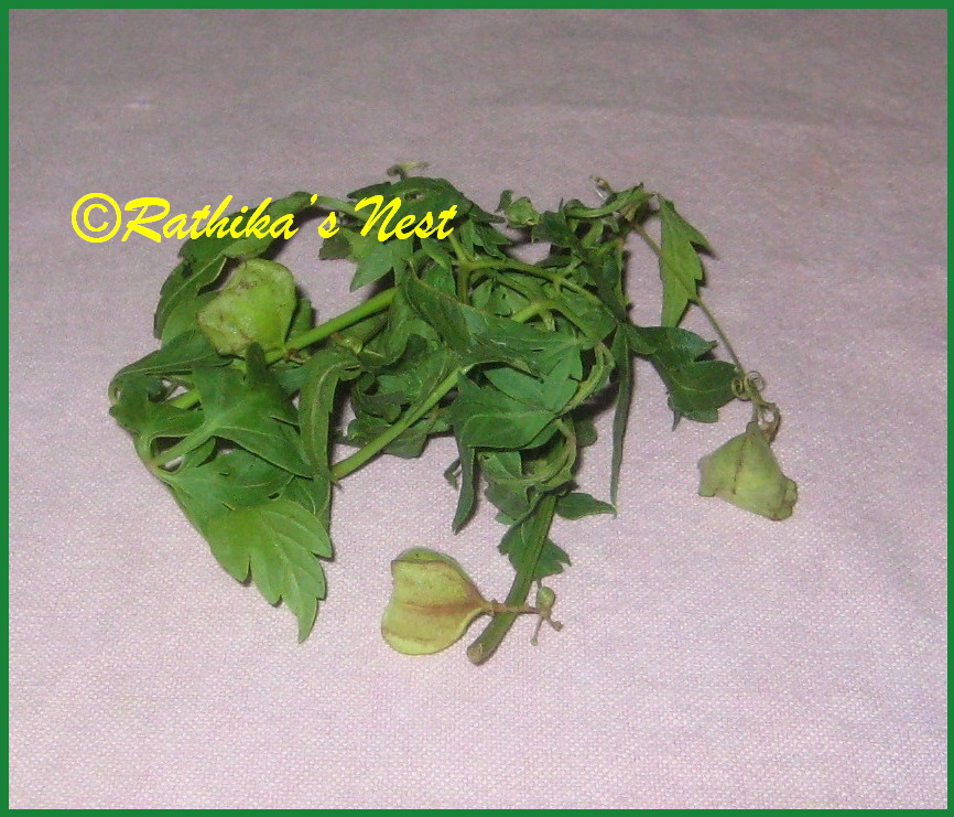 What is the mechanism by which vigorous exercise inhibits the diuresis produced by the water load image