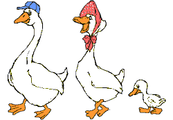 Glückliche gänse, die weihnachten überlebten. happy geese that survived Chez Marlies Geniessen mit den Jahreszeiten: Die Weihnachtsgans