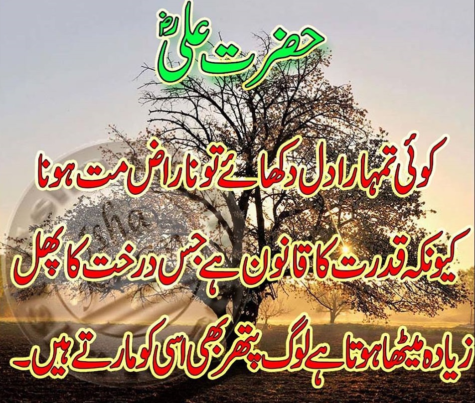 hazrat ali ramadan quotes in urdu hazrat ali ramadan quotes in urdu