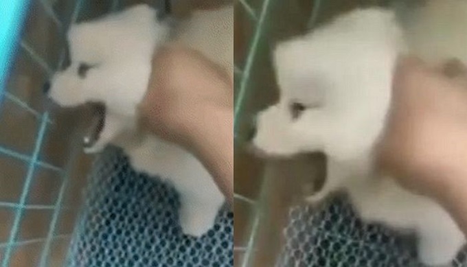 이미지에 대체텍스트 속성이 없습니다; 파일명은 bo718zr30o6rog87k046.jpg 입니다.