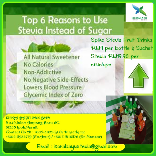 Ixora Bayu Stevia Benefits Of Spike Stevia Sweetener & Spike Stevia Fruit Drinks