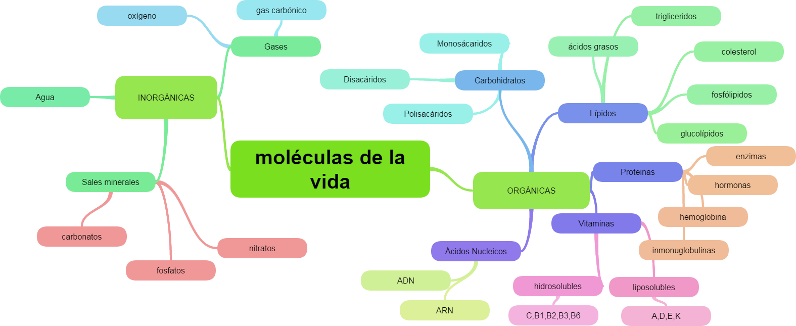 El RincÓn De David Mapa Mental Biomoléculas