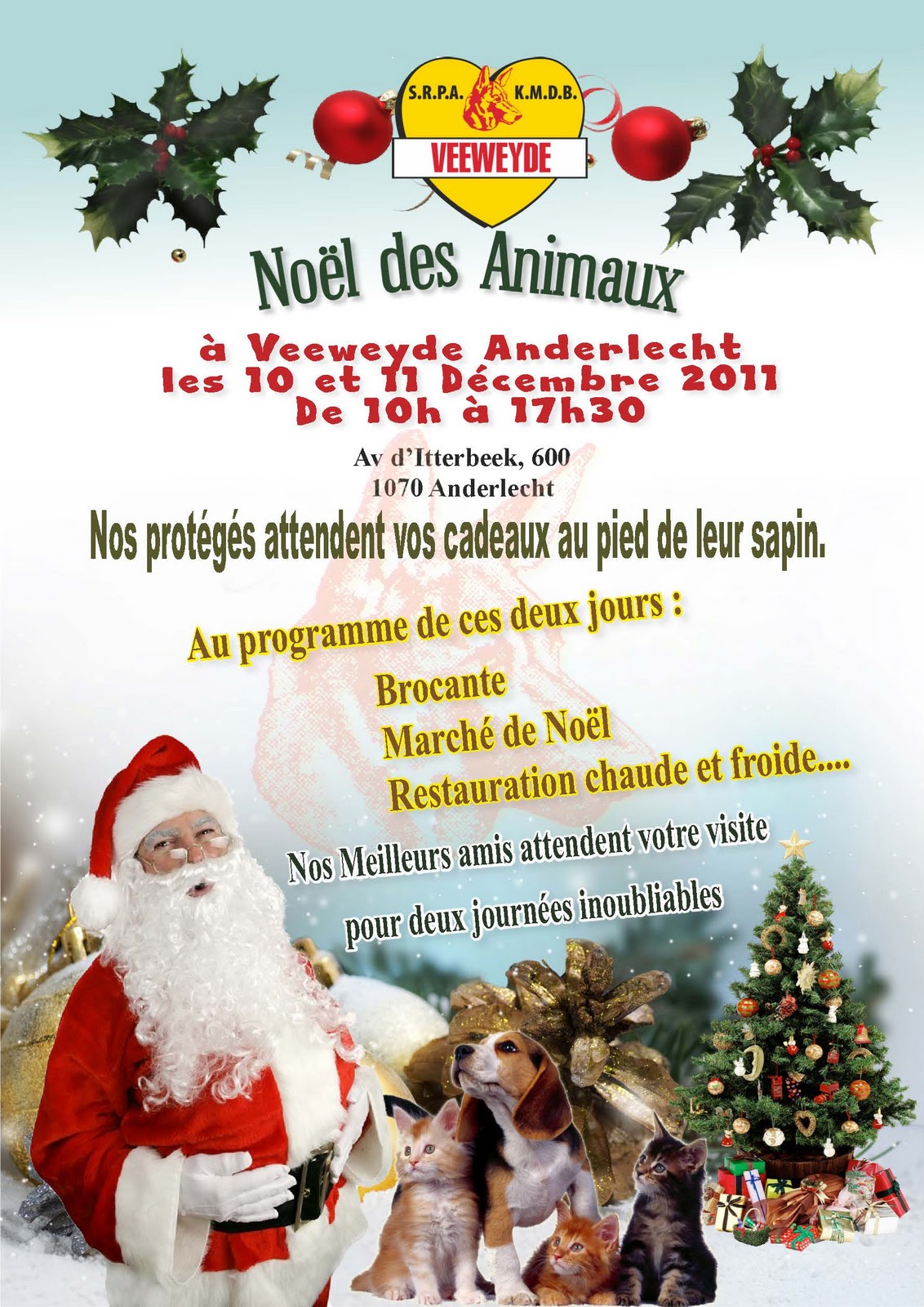Sun Jae: Le Noël des Animaux
