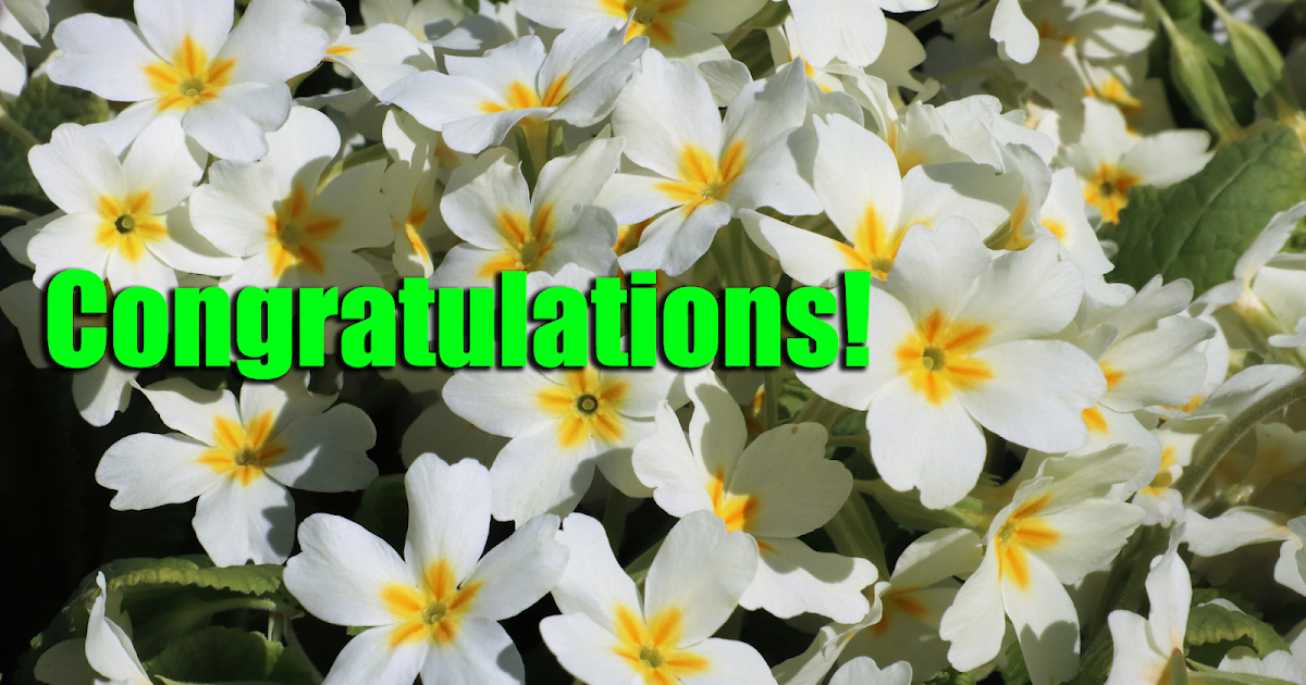 Greetings.Live*Free Daily Greetings Pictures Festival GIF Images