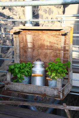 Teacup-In-The-Garden: Ein Regal für Kräuter