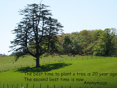 Trees Quotes