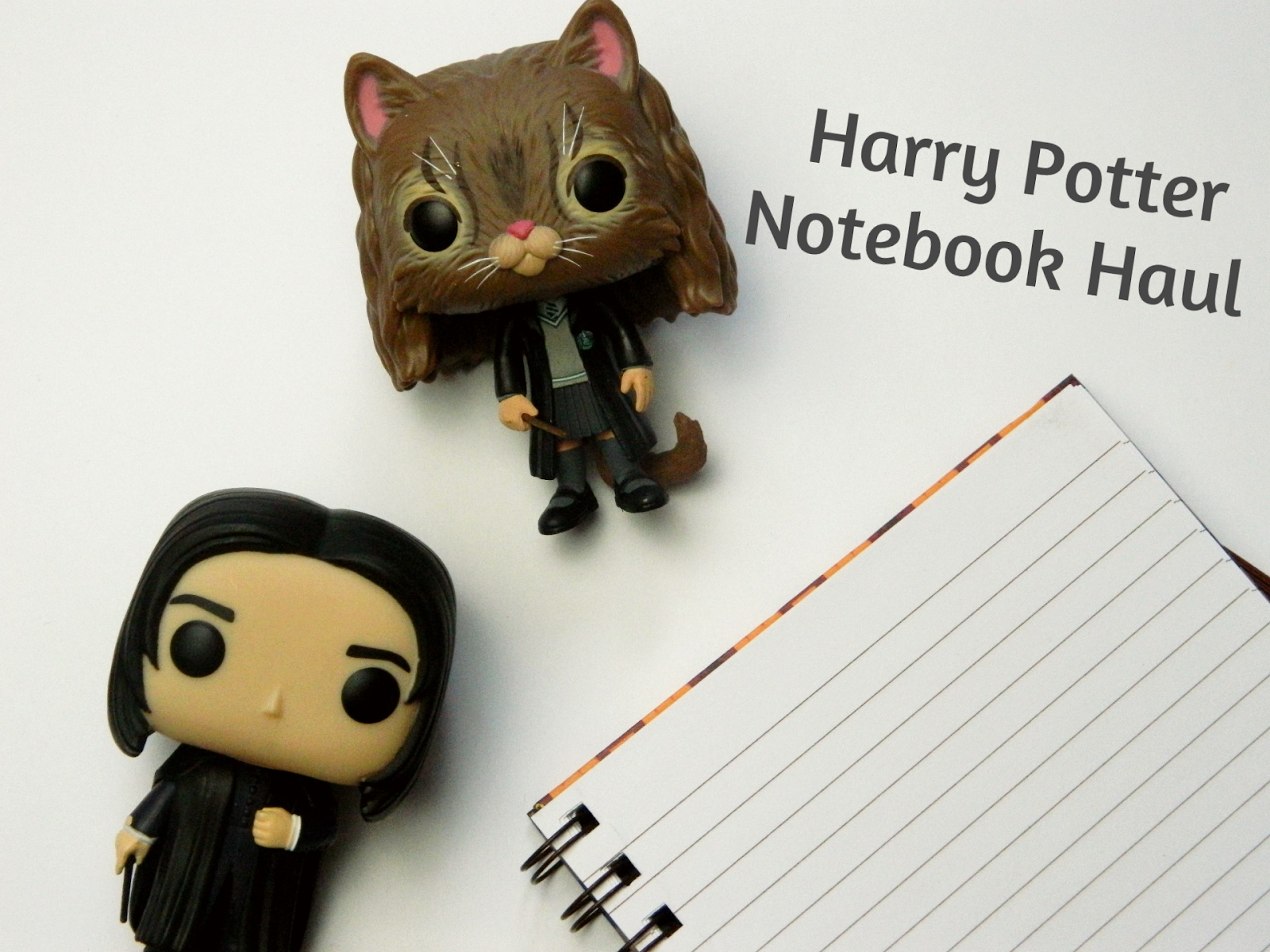 Harry Potter Notebooks From Poundland Raiin Monkey