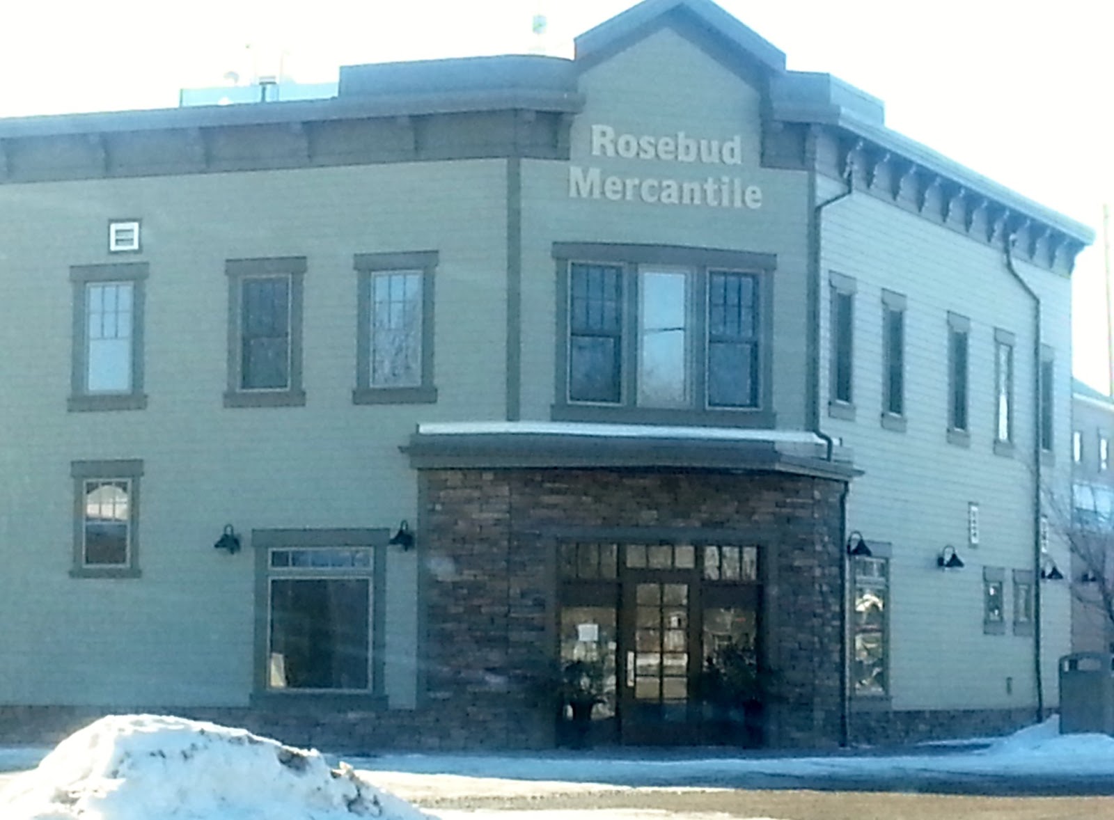 Pat's Ramblings A Little Alberta Rosebud