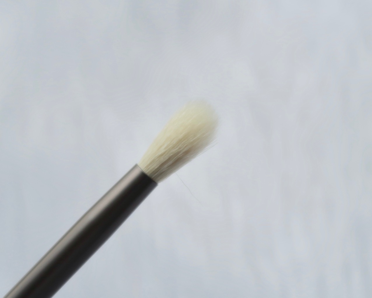 Anne Clutz Eye Essentials Brush Set Affordable Eye Brushes for Small