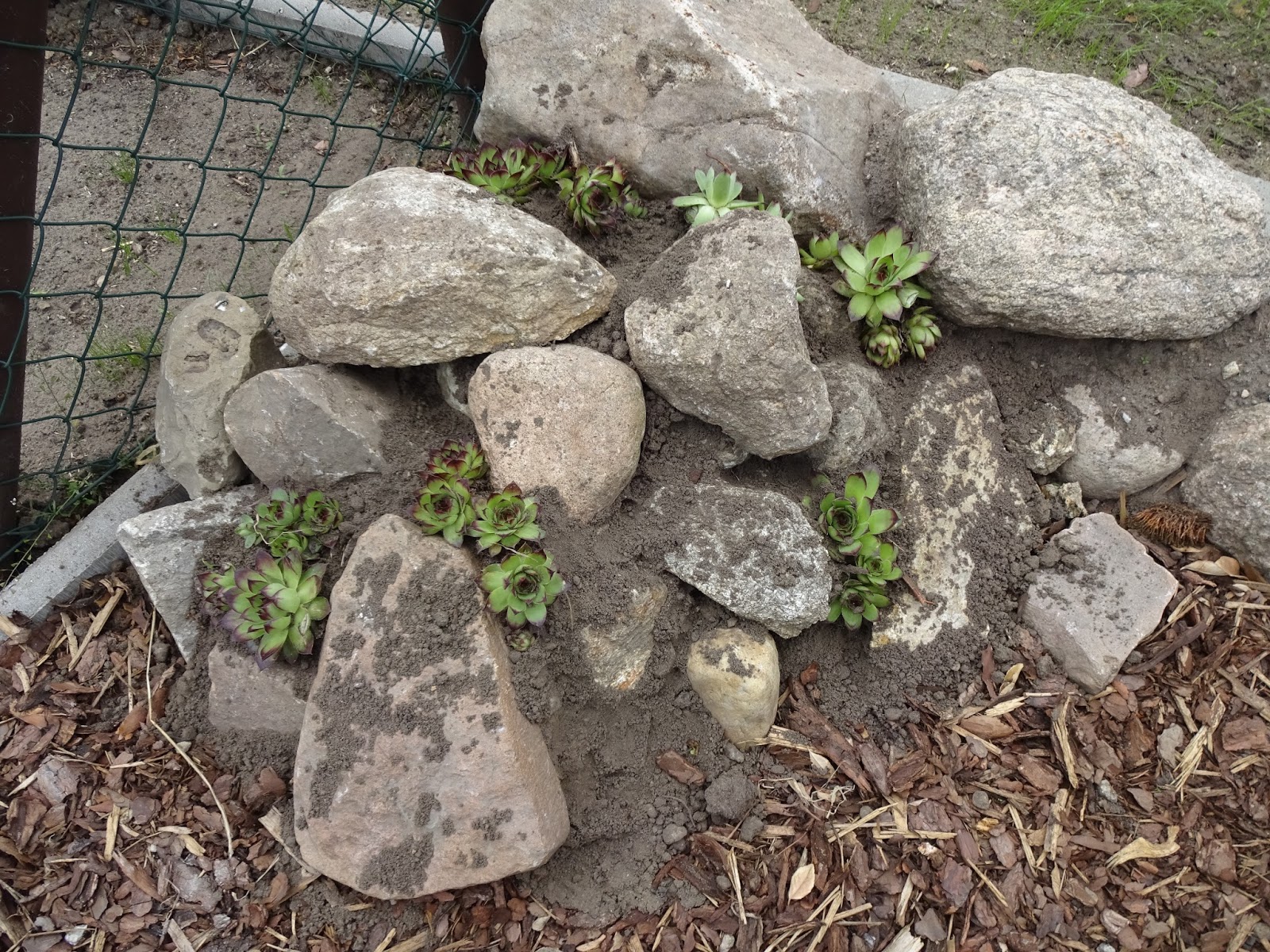 Ein Traumhaus für Familie S. Es wird grün im Garten
