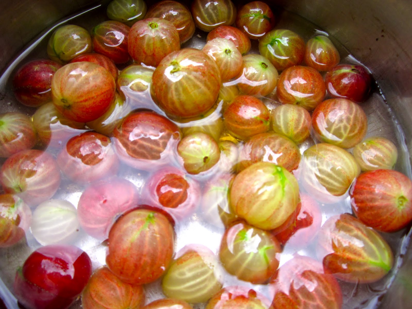 What's for dinner Gooseberry fool