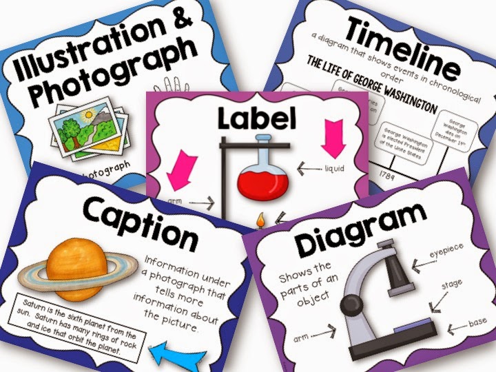 Primary Punch Non Fiction Text Feature Posters UPDATED Primary Punch Non Fiction Text Feature Posters UPDATED