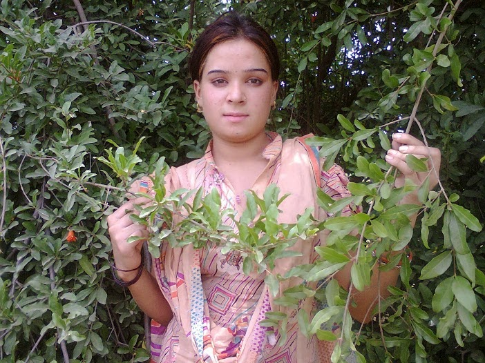 Free amature girlfriend porn