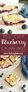 These Blueberry Crumb Bars are the perfect sweet snack! Recipe from www.thebusybaker.ca!