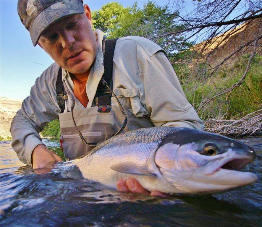 Steelhead with Water Time Outfitters