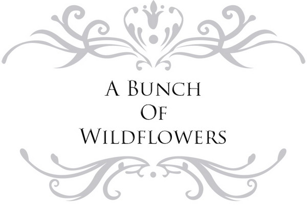 Bunch of Wildflowers