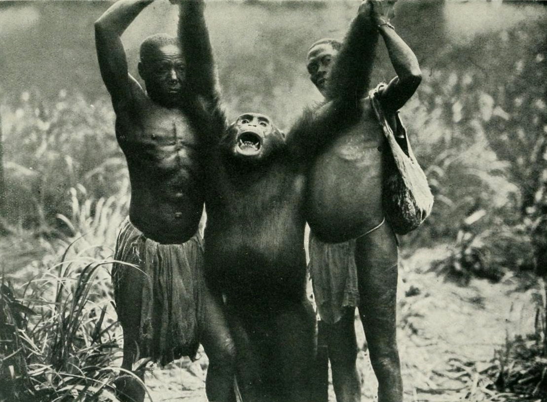 Blog Misteri Tesla Legenda Bili Ape