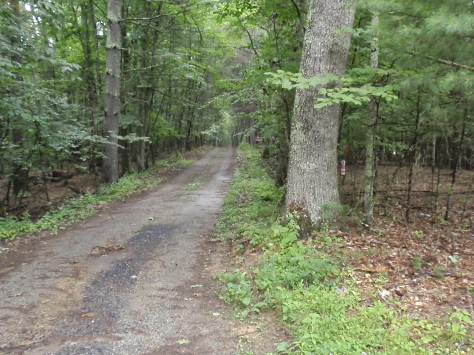 Pine Tree Acres, West Virginia 2014