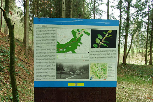 Kunstexkursion Zum Max Ernst Museum Marienschule Euskirchen