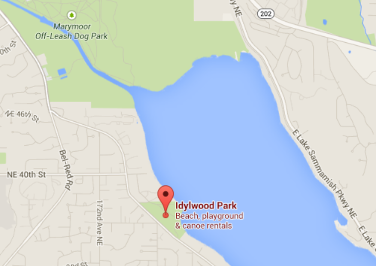 Sylvia's Blog Kayaking North Lake Sammamish