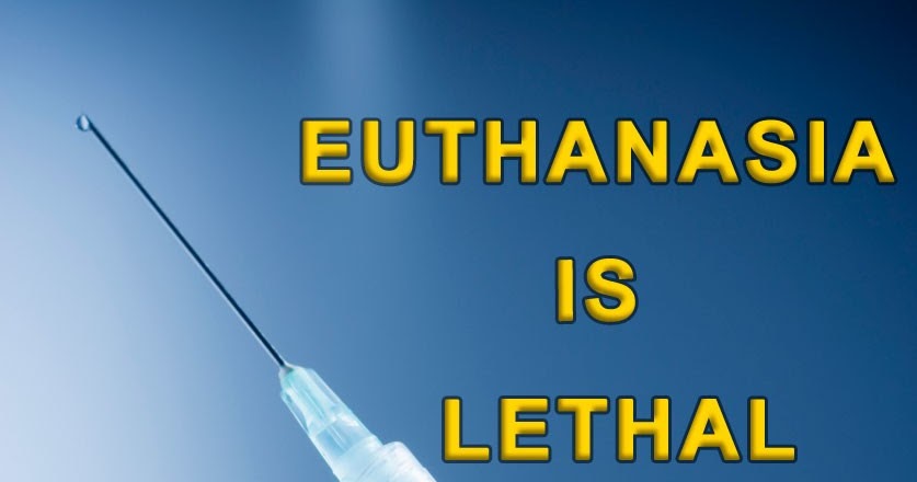 euthanasia is not murder Free coursework on euthanasia is not murder from essayukcom, the uk essays company for essay, dissertation and coursework writing. euthanasia is not murder Free coursework on euthanasia is not murder from essayukcom, the uk essays company for essay, dissertation and coursework writing.